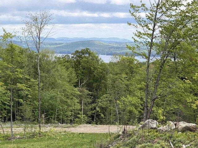 Land for sale in Newport, Vermont