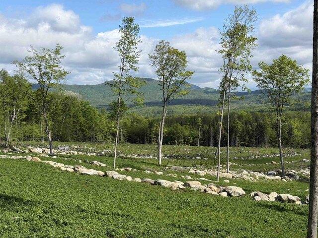 Land for sale in Newport, Vermont