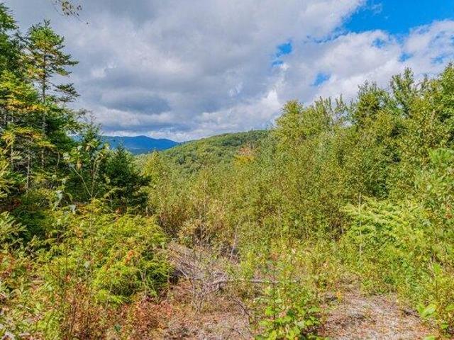 Land for sale in Newry, Maine