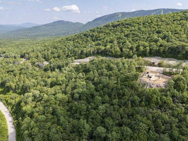 Land for sale in Newry, Maine