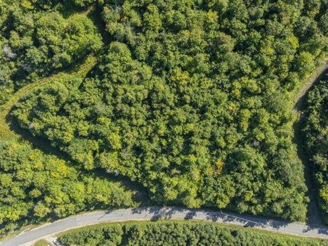 Land for sale in Newry, Maine