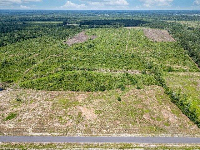 Land for sale in Nichols, South Carolina