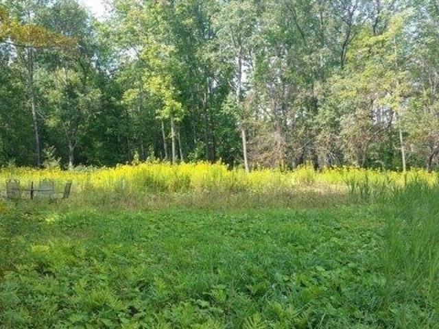 Land for sale in Berkshire, Massachusetts