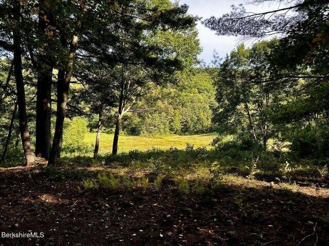 Land for sale in North Adams, Berkshire County
