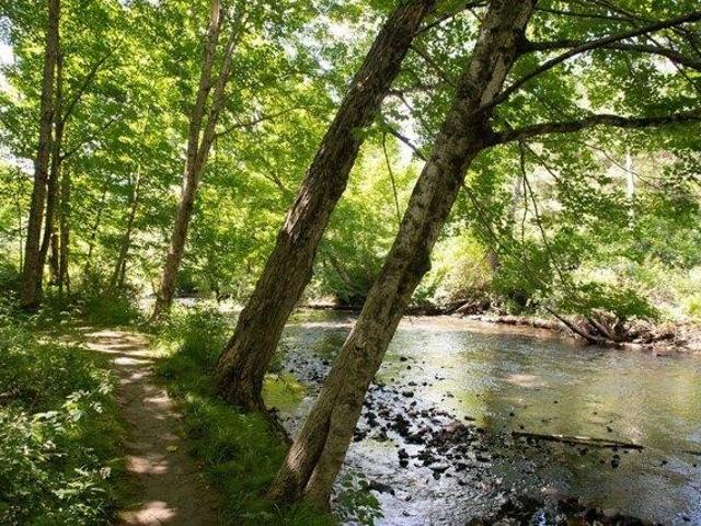 Land for sale in North Berwick, Maine