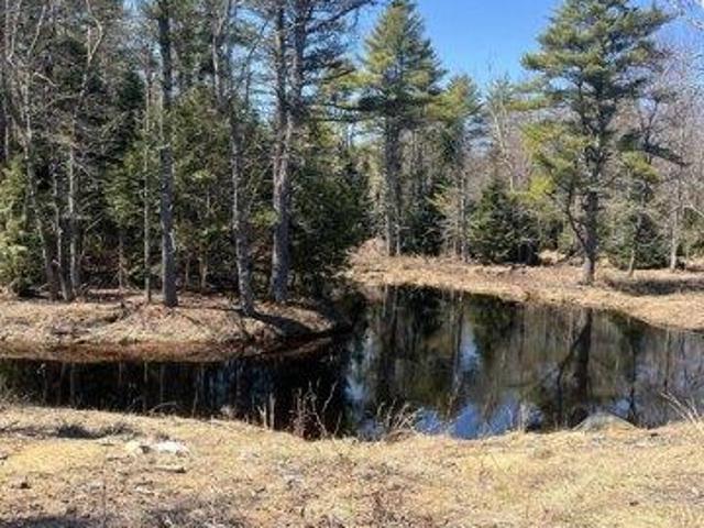 Land for sale in North Berwick, Maine