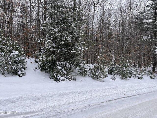 Land for sale in Bakers Mills, New York
