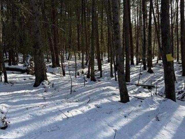 Land for sale in Erving, Massachusetts