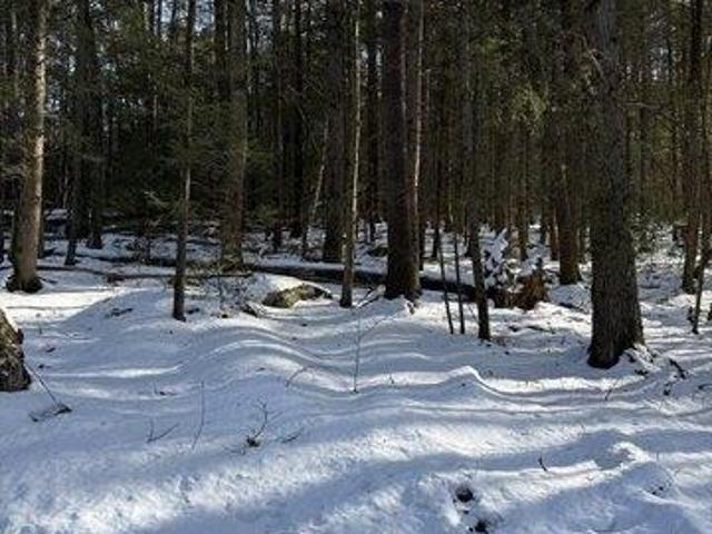 Land for sale in Erving, Massachusetts