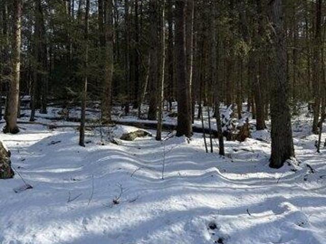 Land for sale in Erving, Massachusetts