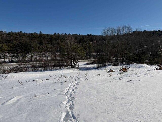 Land for sale in New Hampshire