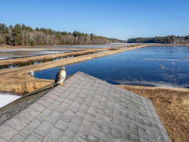 Land for sale in Bristol, Massachusetts