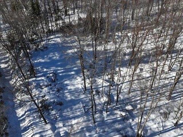 Land for sale in Norway, Maine