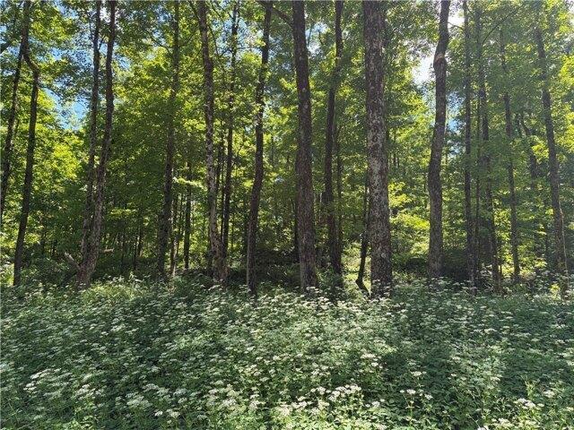 Land for sale in Plymouth, New York
