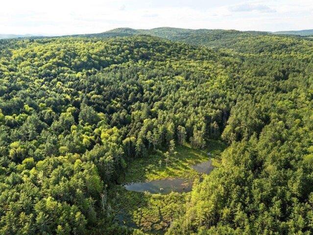 Land for sale in Plantsville, Vermont