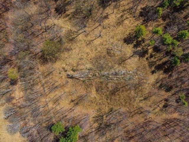 Land for sale in Norwich, Vermont