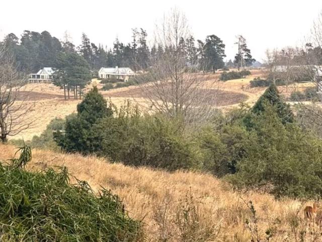 Land for sale