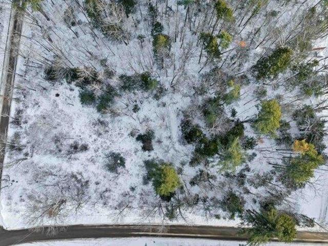 Land for sale in New Hampshire