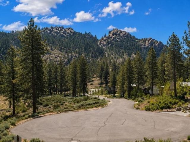 Land for sale in Nevada