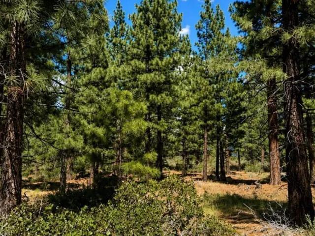 Land for sale in Nevada