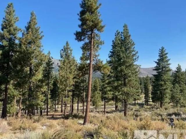 Land for sale in Nevada