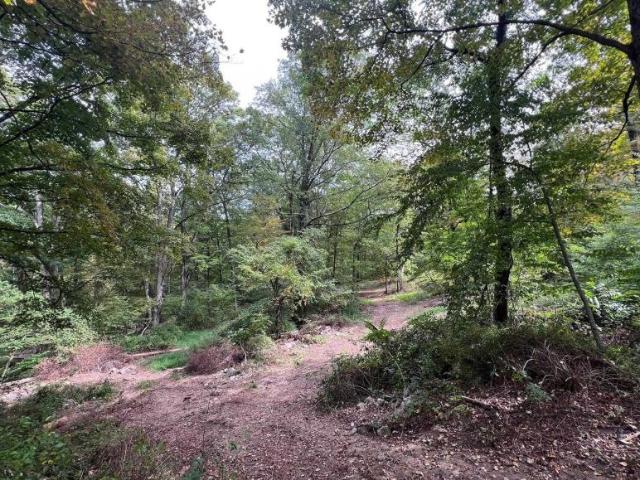 Land for sale in New York