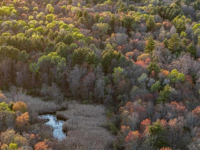 Land for sale in Guilderland, New York