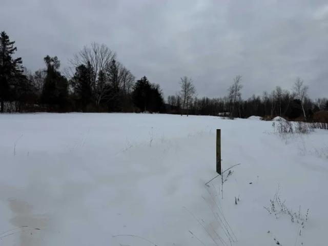 Land for sale in Amenia, New York