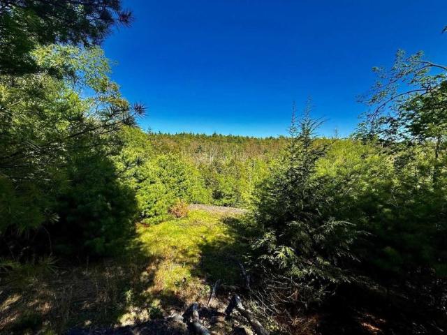 Land for sale in Hurley, New York