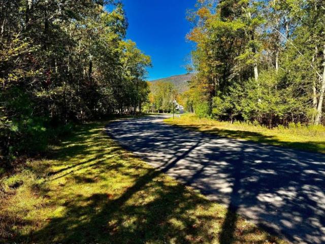Land for sale in Catskill, New York