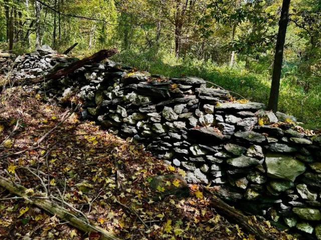 Land for sale in New York