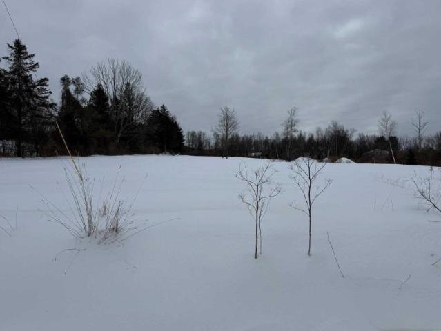 Land for sale in Amenia, New York
