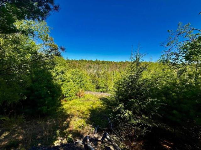 Land for sale in Hurley, New York