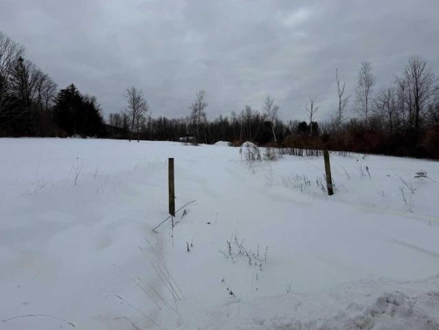 Land for sale in Amenia, New York