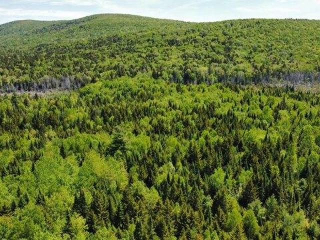 Land for sale in Oakfield, Maine