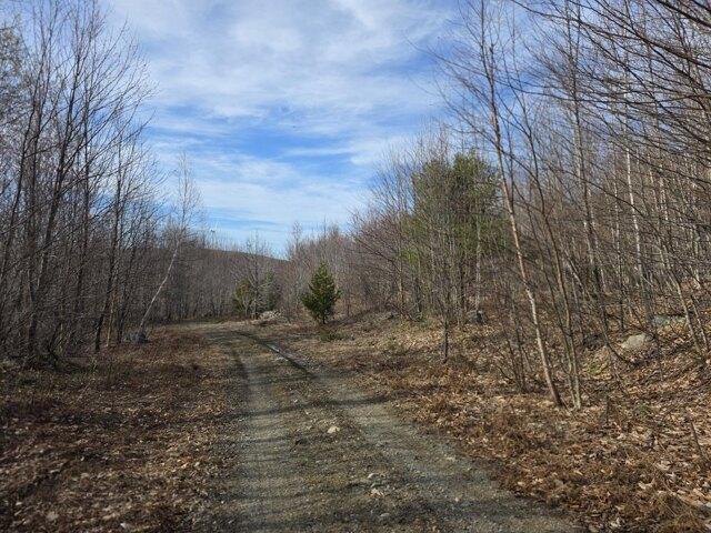 Land for sale in Oakfield, Maine