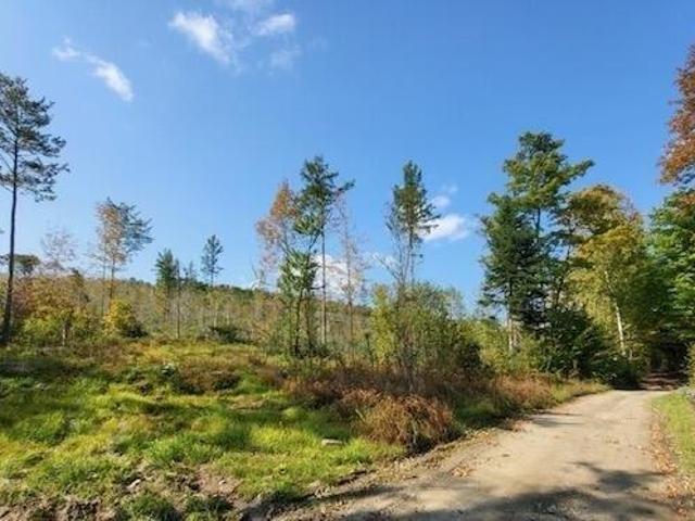 Land for sale in Oakfield, Maine