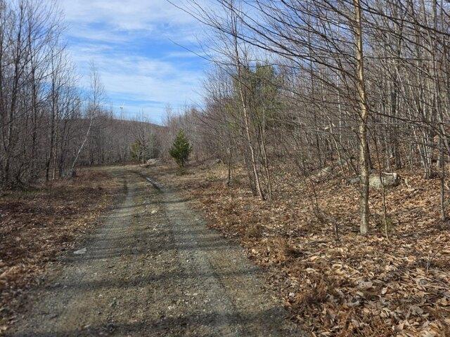 Land for sale in Oakfield, Maine