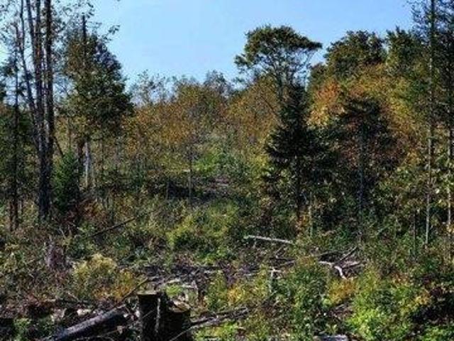 Land for sale in Oakfield, Maine
