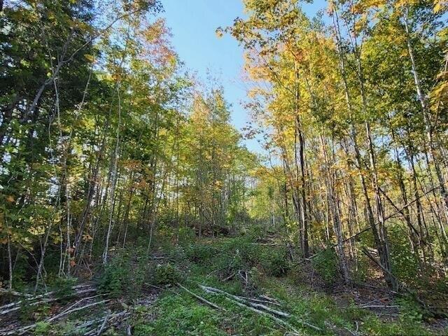Land for sale in Oakfield, Maine