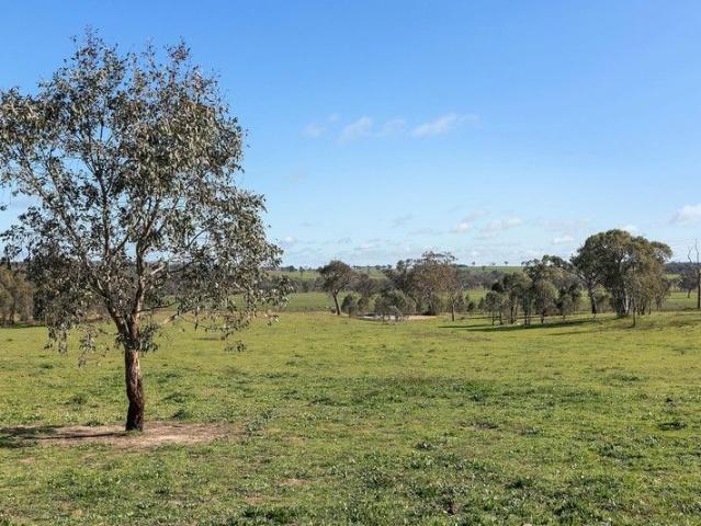 Land for sale in Bowning, New South Wales