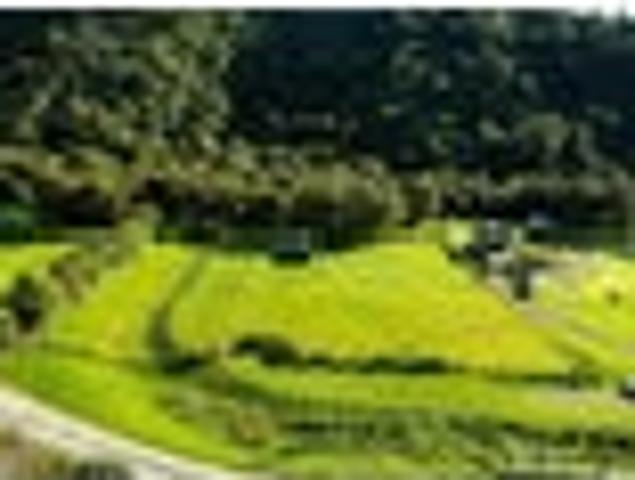 Land for sale in Marlborough