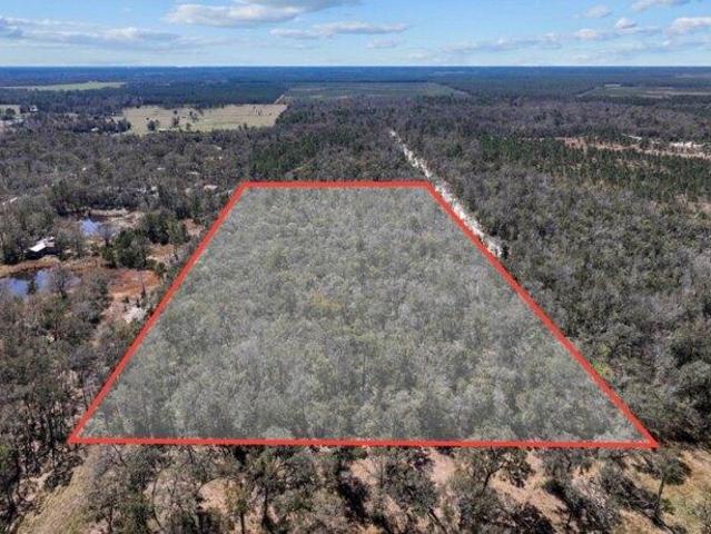 Land for sale in Old Town, Florida