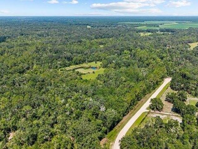 Land for sale in Old Town, Florida