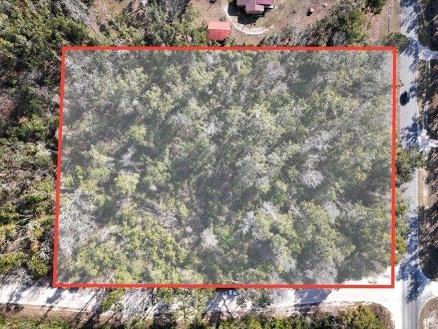 Land for sale in Old Town, Florida