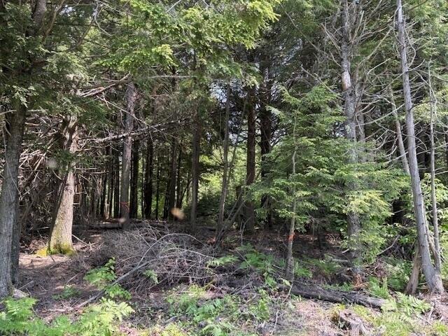 Land for sale in Old Town, Maine