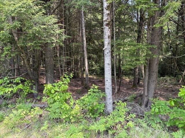 Land for sale in Old Town, Maine