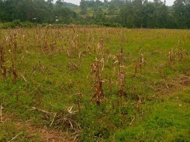 Land for sale in Kisumu