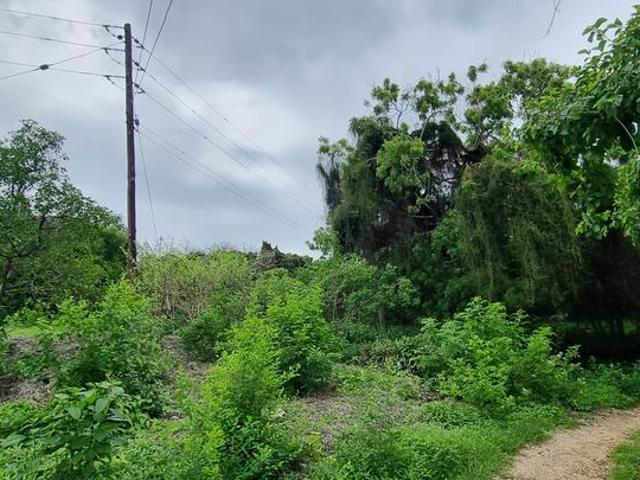 Land for sale