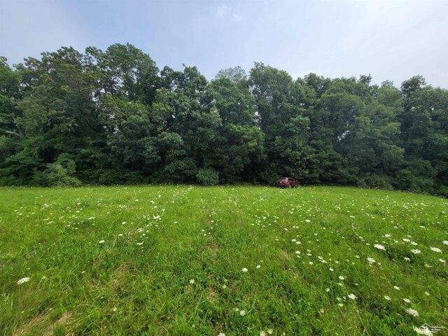 Land for sale in Onsted, Michigan